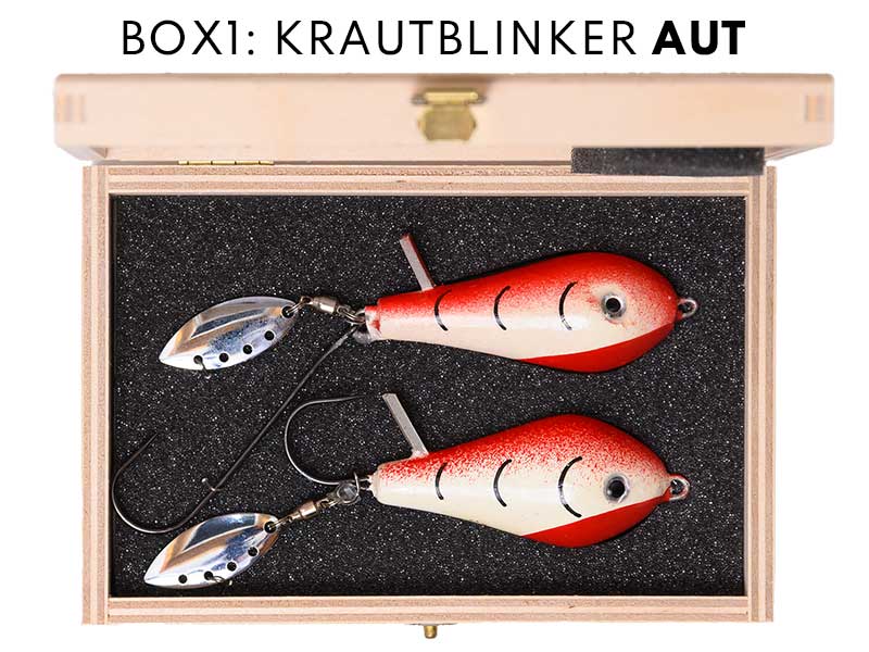 Kautblinker AUT