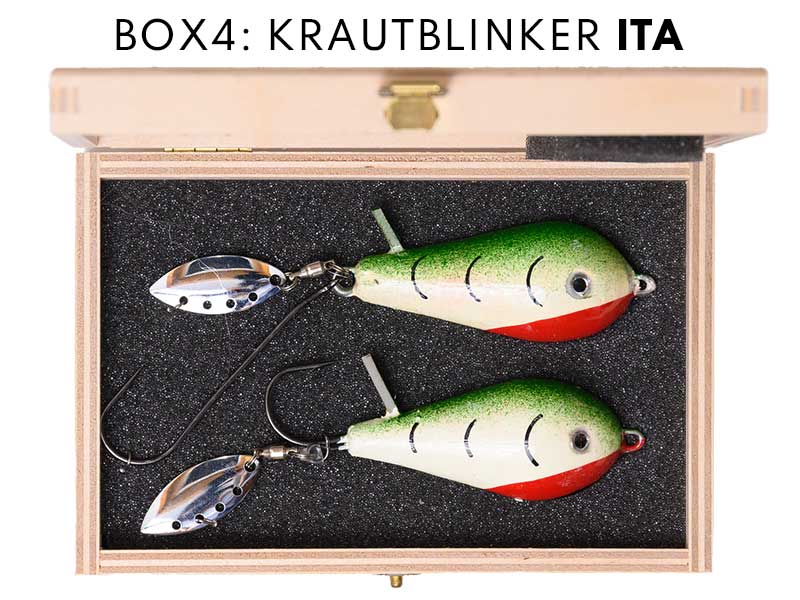 Kautblinker ITA